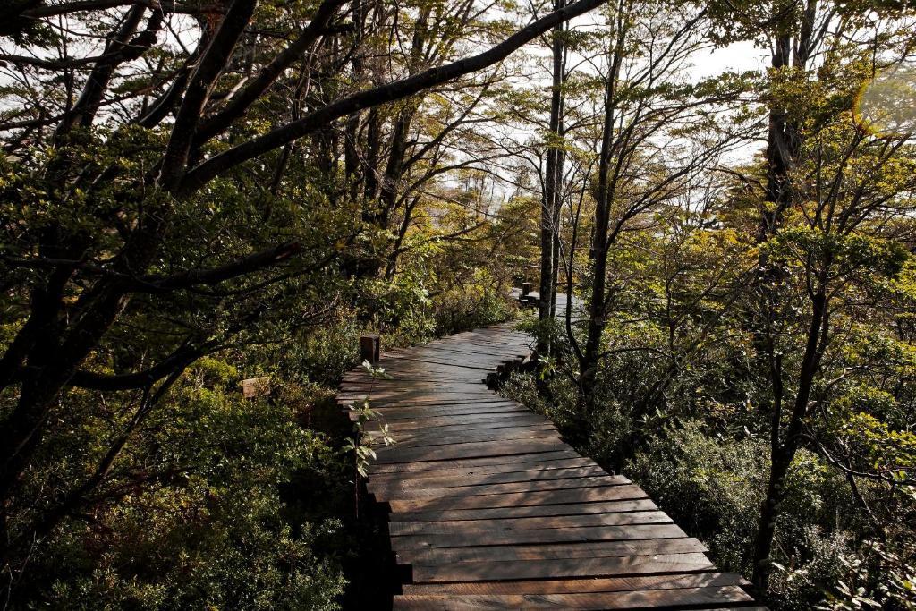 Patagonia Camp Hotel Torres del Paine National Park Buitenkant foto